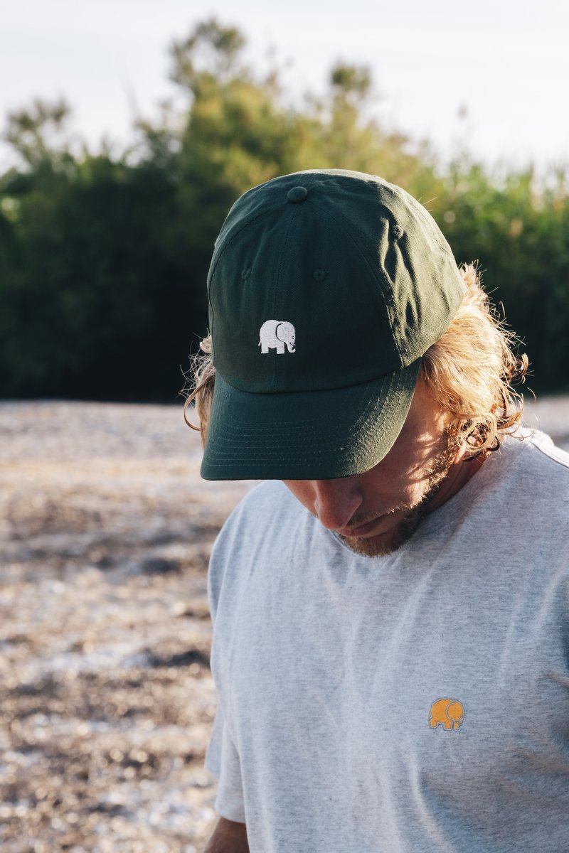 Personne portant une Kombu Green Logo Dad Cap | TP_IMAGE_TYPE=MODEL_FRONT