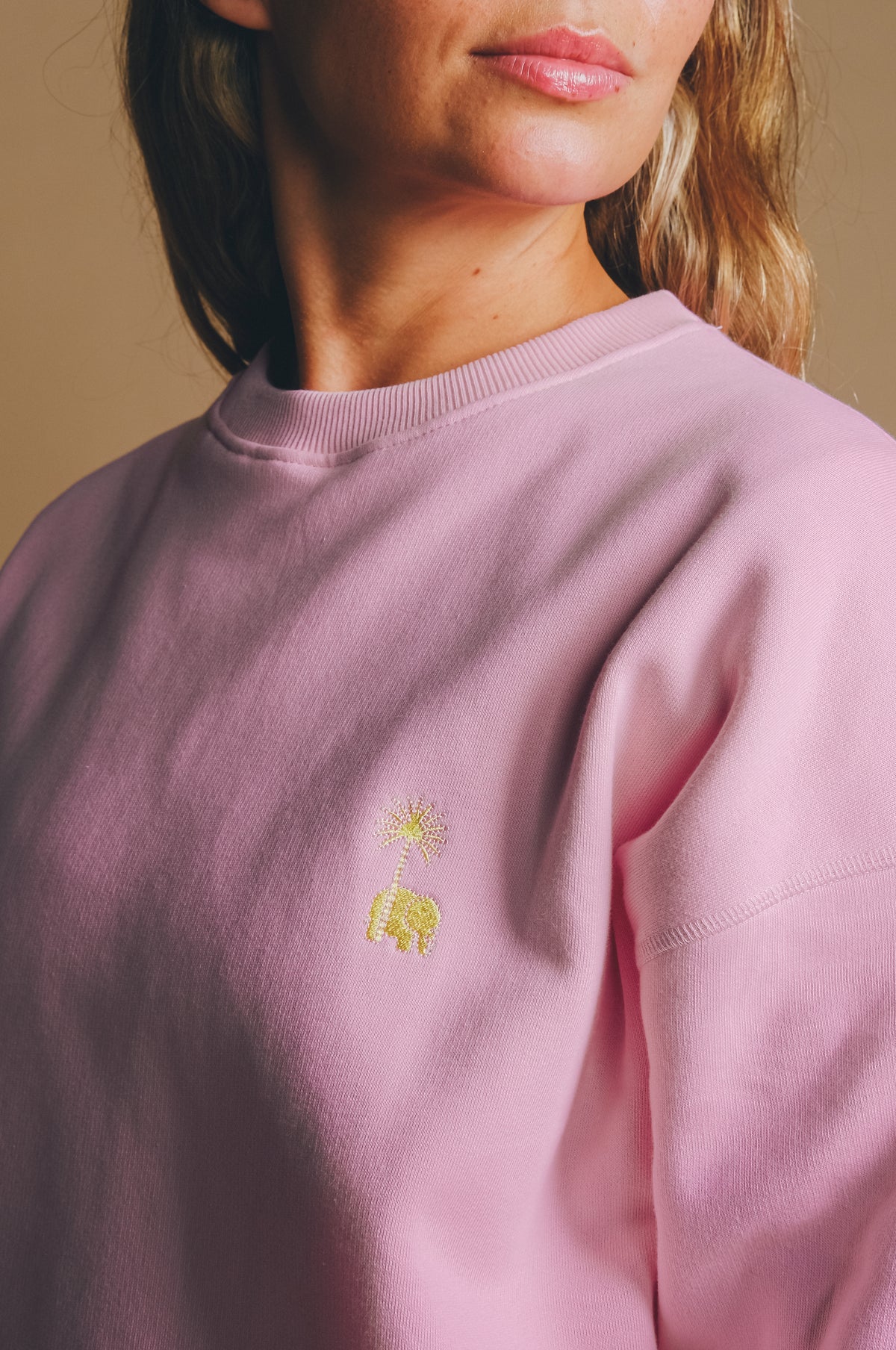 Personne portant un sweat-shirt oversize Gum Pink avec un motif brodé | TP_IMAGE_TYPE=MODEL_FRONT
