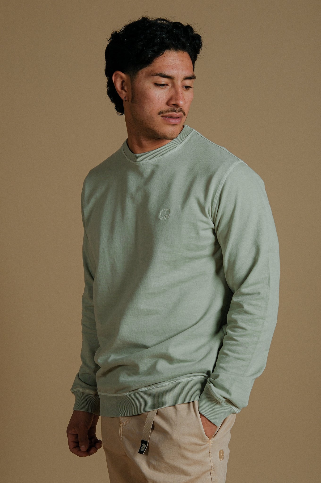 Essential Pigment Sweater Reseda Green