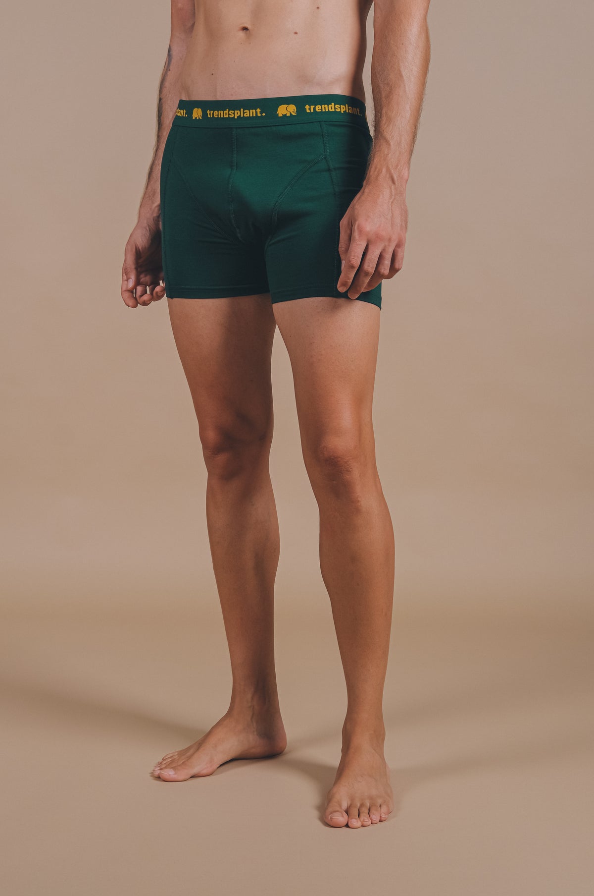 Persona che indossa Organic Essential Boxer Briefs in verde, vista frontale | TP_IMAGE_TYPE=MODEL_FRONT