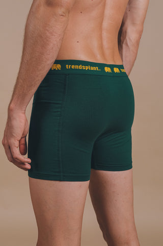 Persona che indossa Organic Essential Boxer Briefs Green, vista posteriore | TP_IMAGE_TYPE=MODEL_BACK