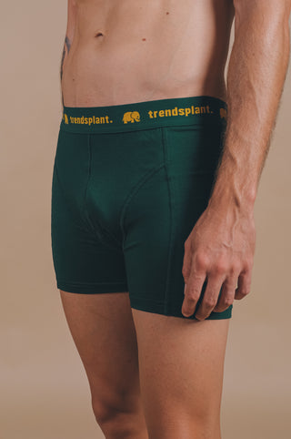 Persona che indossa Organic Essential Boxer Briefs in verde, vista frontale | TP_IMAGE_TYPE=MODEL_FRONT
