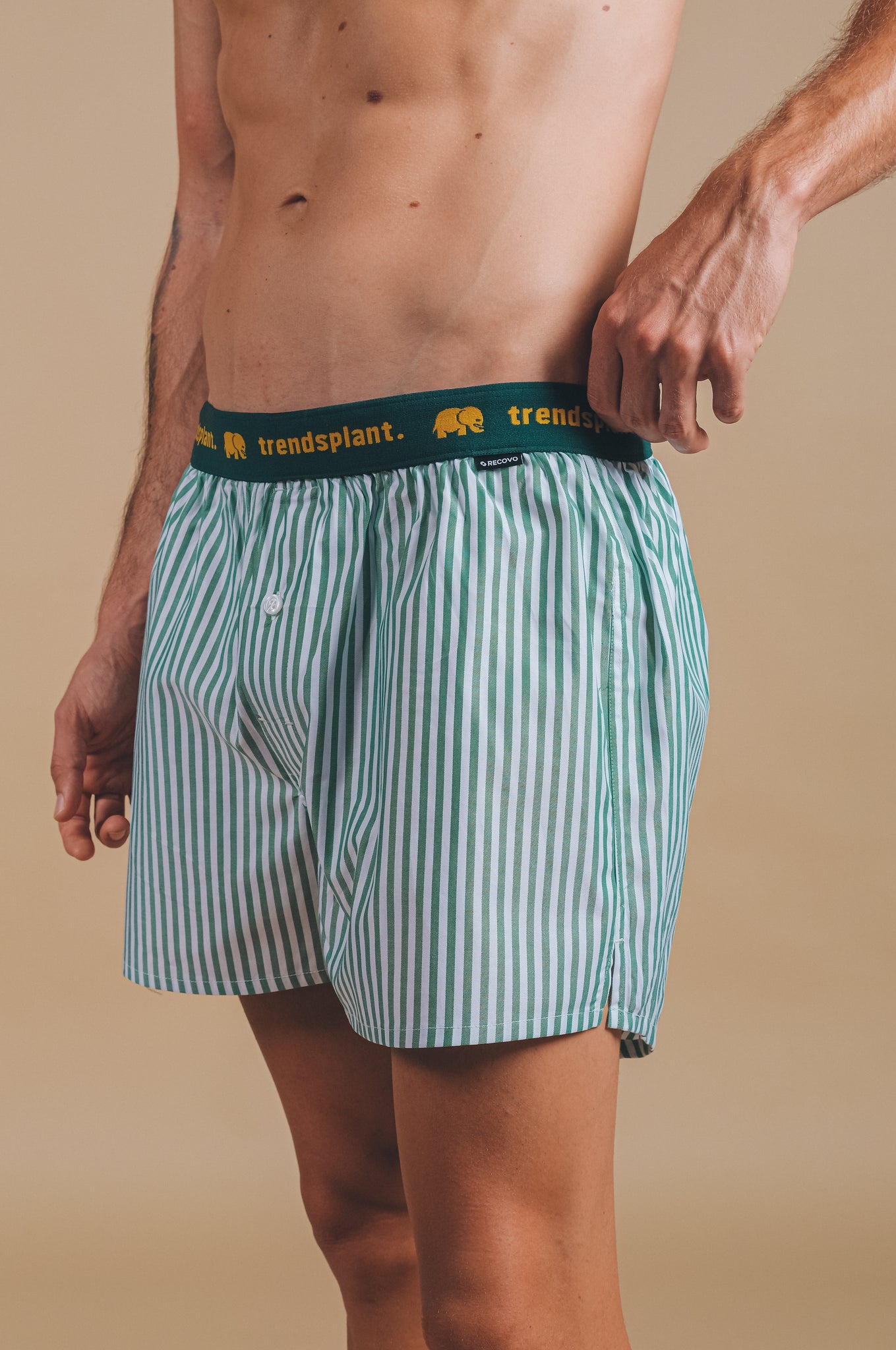 Recovo® x Trendsplant Striped Boxer Shorts Green