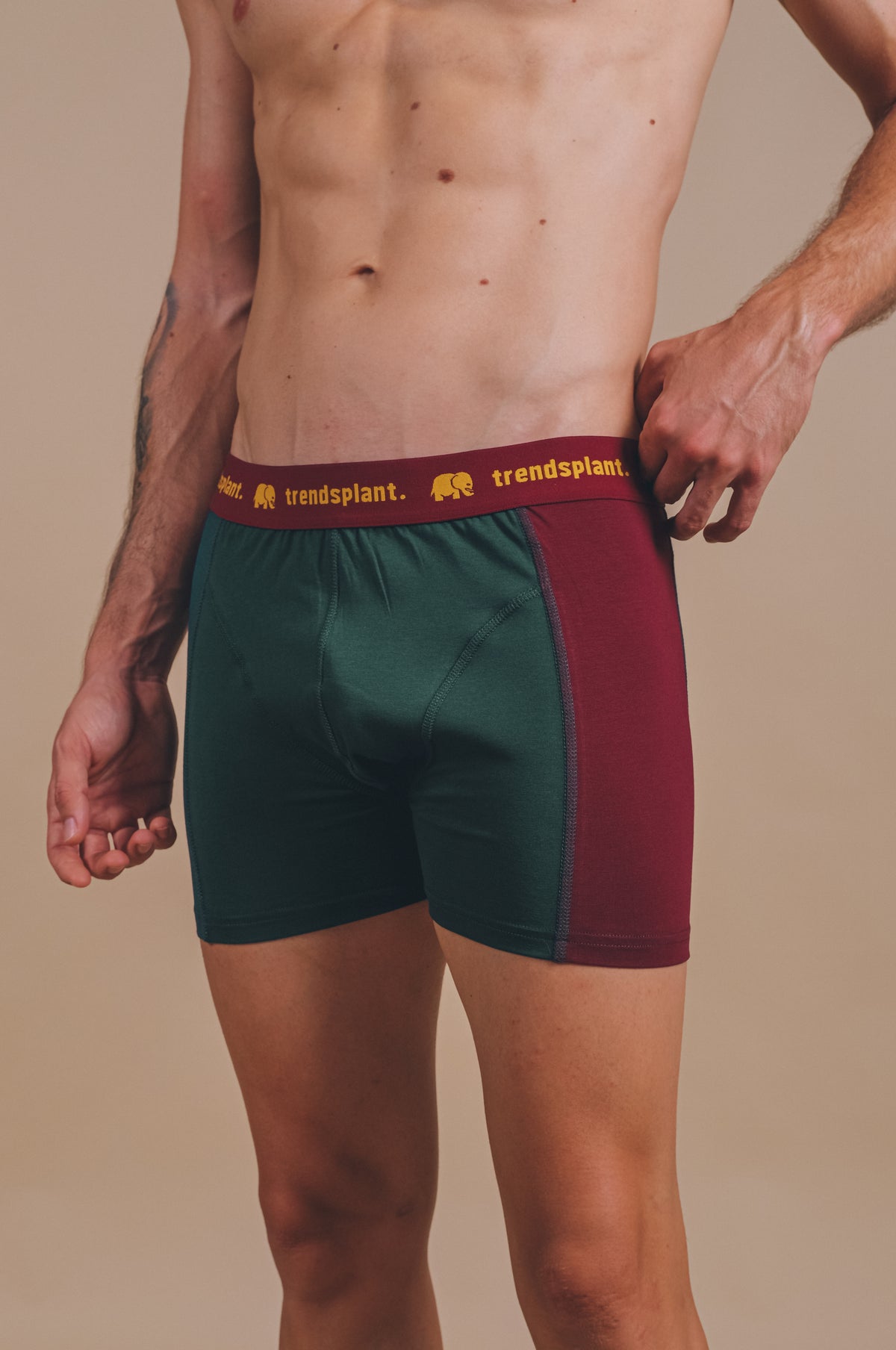 Persona che indossa Boxer Briefs Organic Essential nel design Color Block, con verde e bordeaux, vista frontale | TP_IMAGE_TYPE=MODEL_FRONT