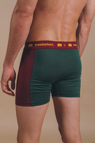 Persona che indossa Organic Essential Boxer Briefs Color Block, vista posteriore | TP_IMAGE_TYPE=MODEL_BACK