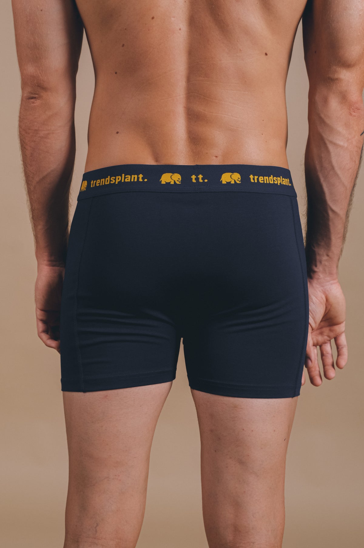 Persona che indossa Organic Essential Boxer Briefs Navy, vista posteriore | TP_IMAGE_TYPE=MODEL_BACK