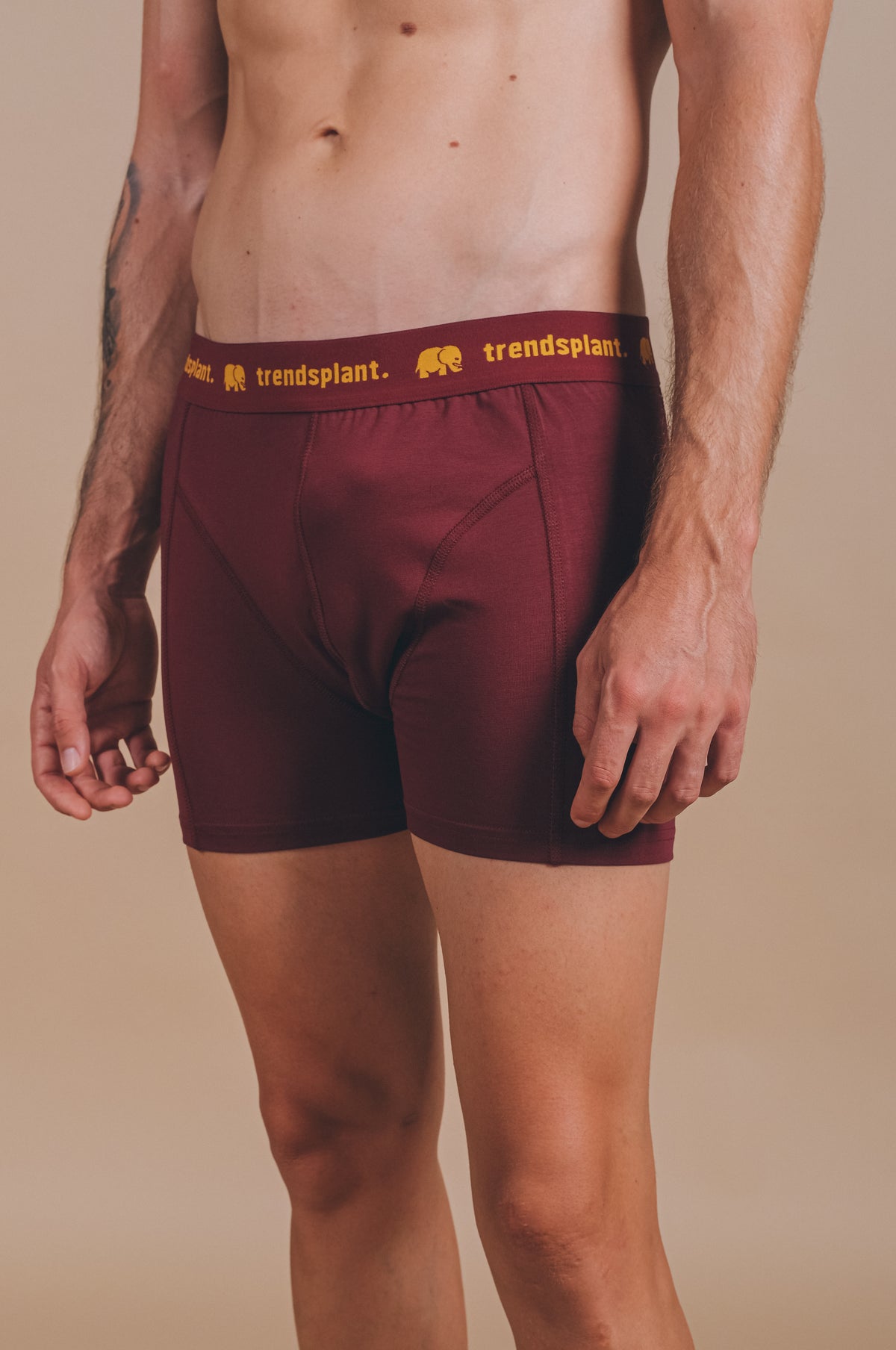 Persona che indossa Organic Essential Boxer Briefs bordeaux, vista frontale | TP_IMAGE_TYPE=MODEL_FRONT