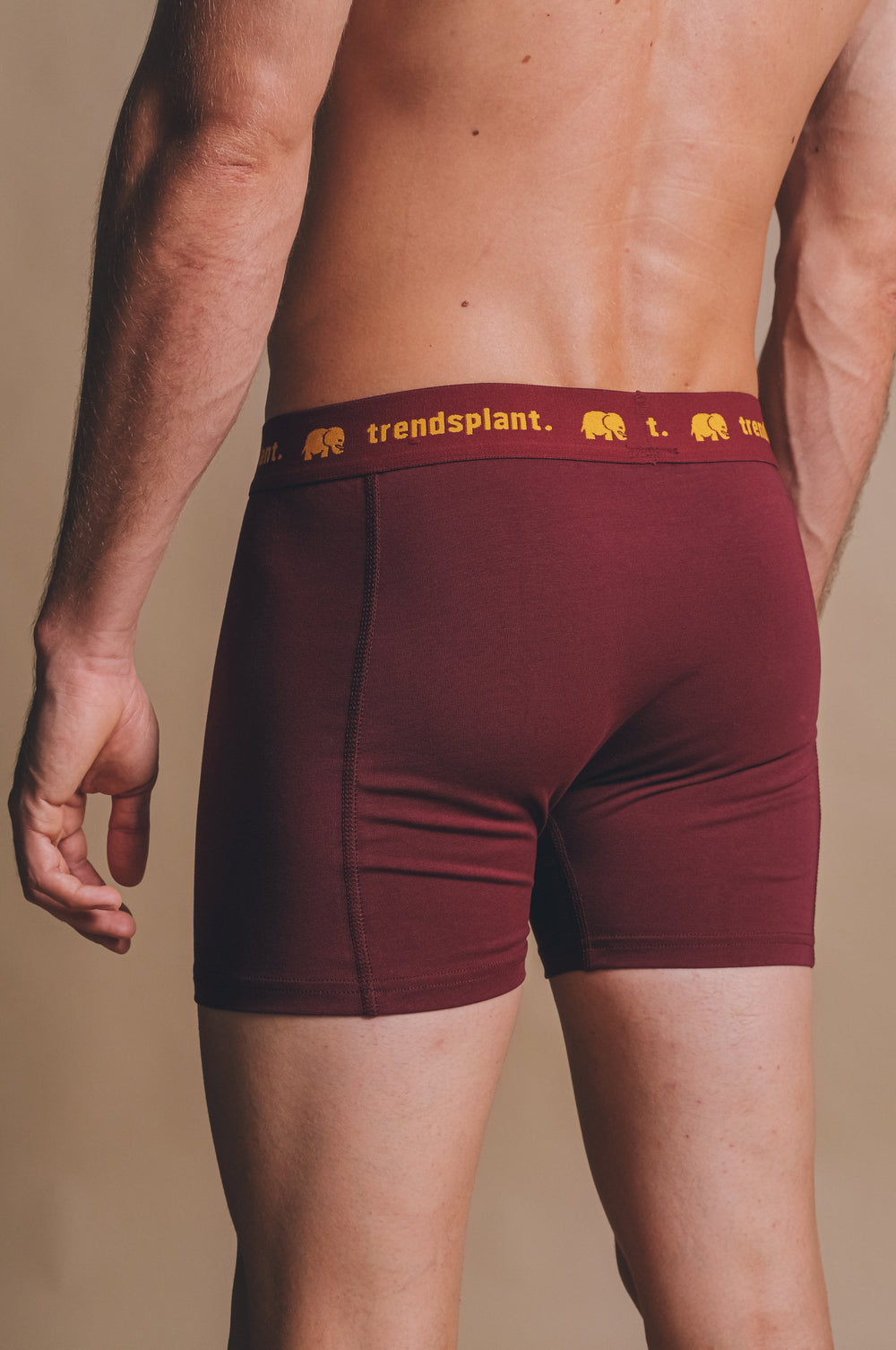 Person wearing Organic Essential Boxer Briefs Burgundy back view | TP_IMAGE_TYPE=MODEL_BACK