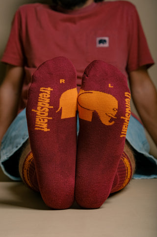 Persona che indossa calze sportive in cotone biologico bordeaux con dettagli gialli, vista frontale | TP_IMAGE_TYPE=MODEL_FRONT