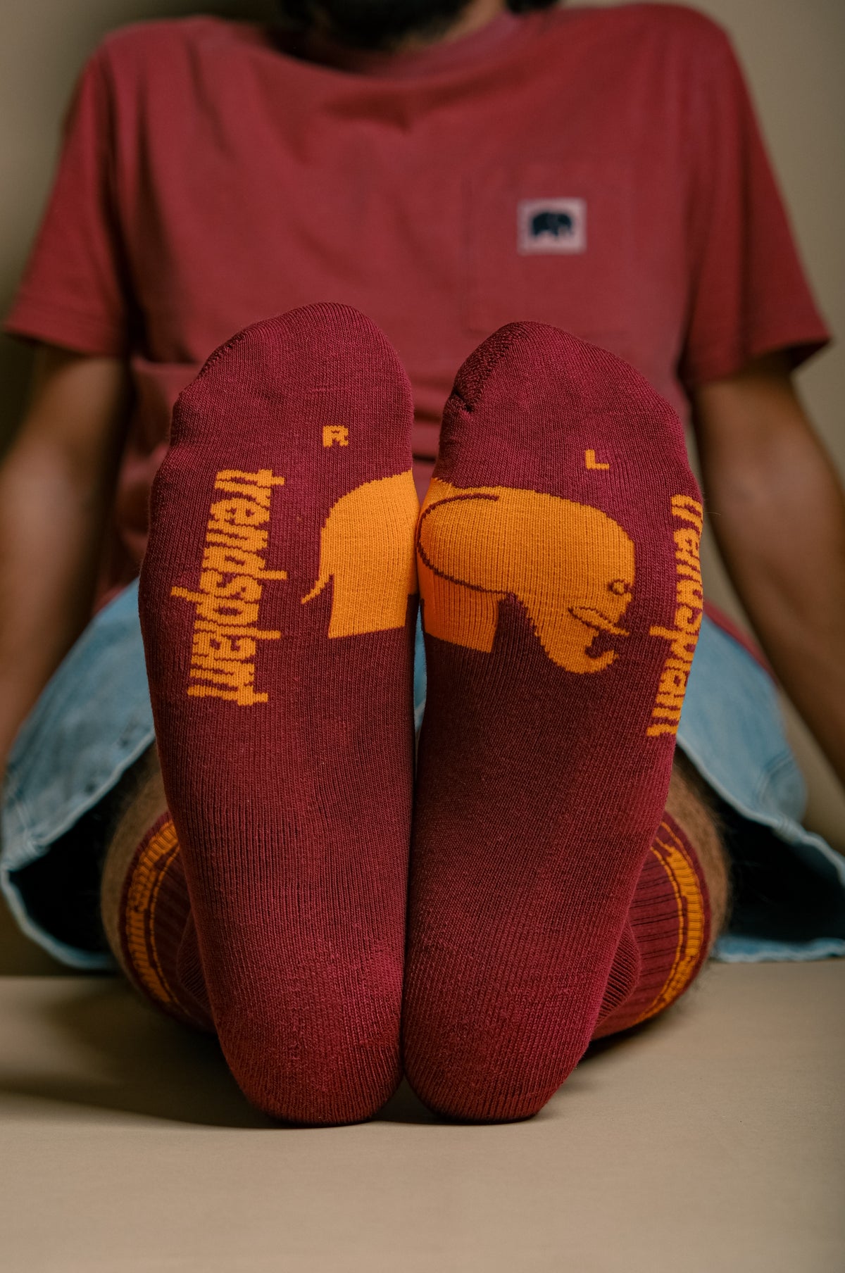 Persona che indossa calze sportive in cotone biologico bordeaux con dettagli gialli, vista frontale | TP_IMAGE_TYPE=MODEL_FRONT