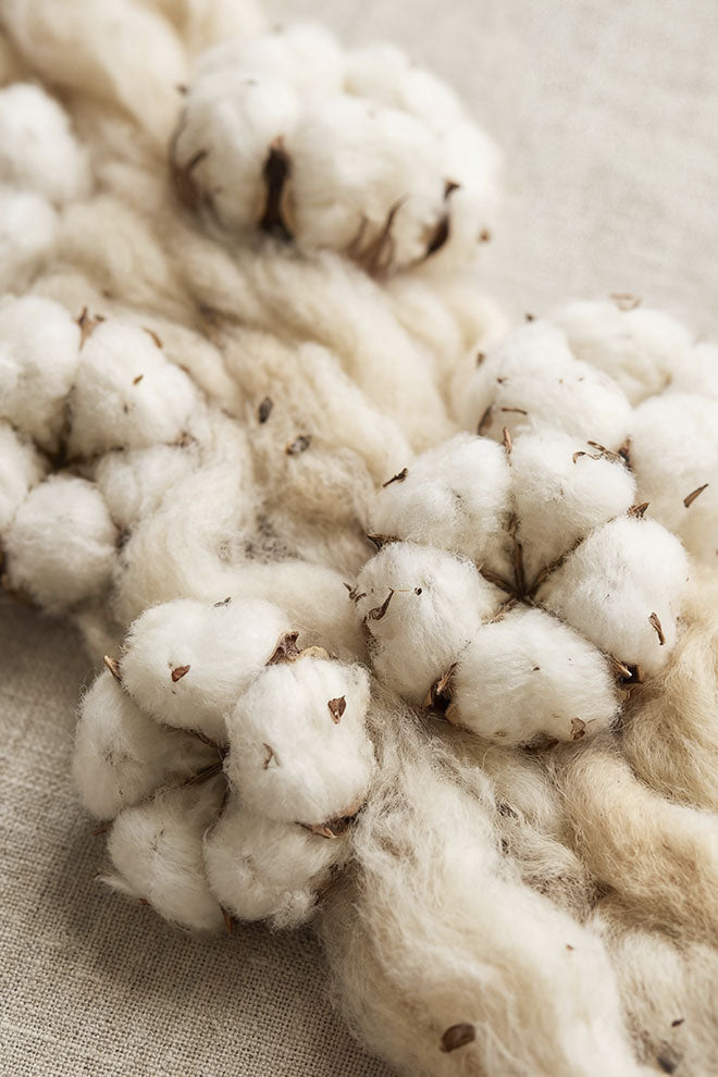 Coton biologique