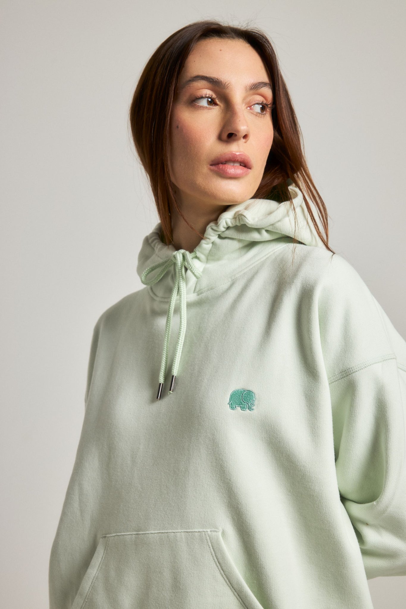 Women's Organic Essential Oversized Hoodie Mint Green