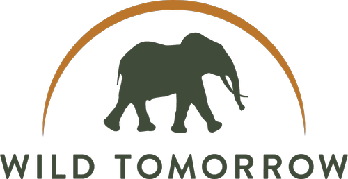 Wild Tomorrow